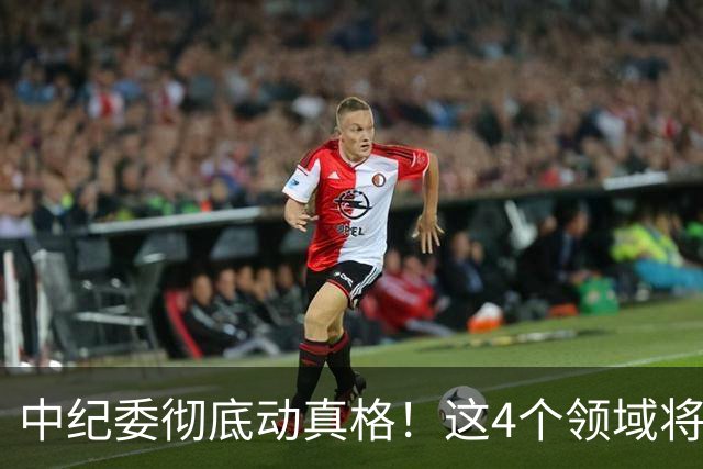 中纪委彻底动真格！这4个领域将被严查，4种行为将被严肃处理！