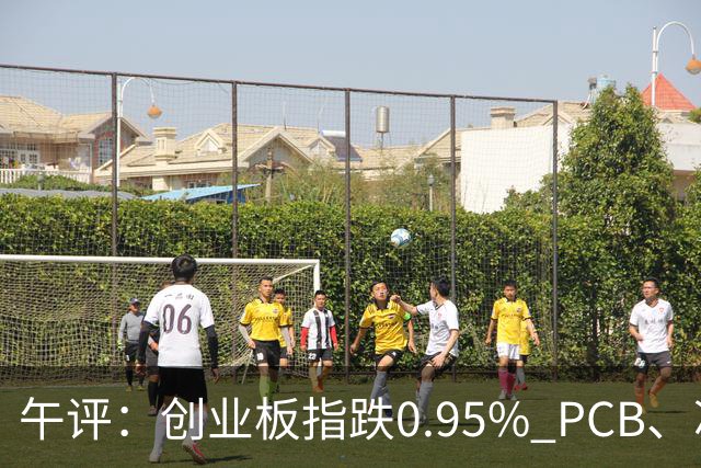 午评：创业板指跌0.95% PCB、冰雪旅游概念走强