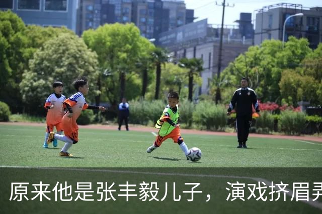 原来他是张丰毅儿子，演戏挤眉弄眼用力过猛，老戏骨何冰都带不动