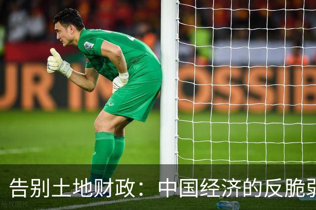 告别土地财政：中国经济的反脆弱之路