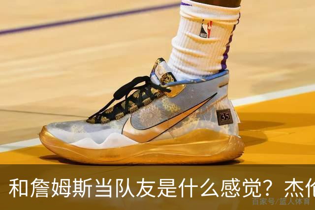 和詹姆斯当队友是什么感觉？杰伦·布朗只说了两个字