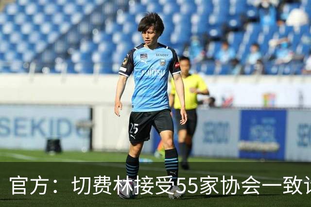 官方：切费林接受55家协会一致请求，寻求连任欧足联主席
