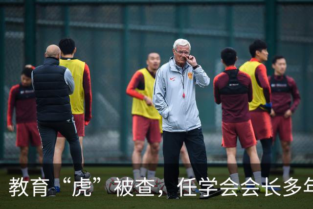 教育“虎”被查，任学会会长多年
