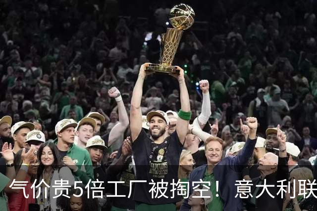 气价贵5倍工厂被掏空！意大利联手多国发难：向冯德莱恩正式夺权