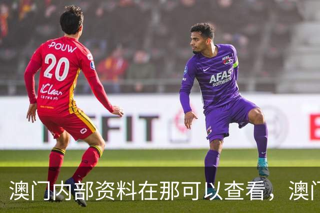 澳门内部资料在那可以查看，澳门六合彩开奖结果新六合彩最精准的资料，管家婆免费资料大全2026年澳门资料澳门六合彩三中三是多少