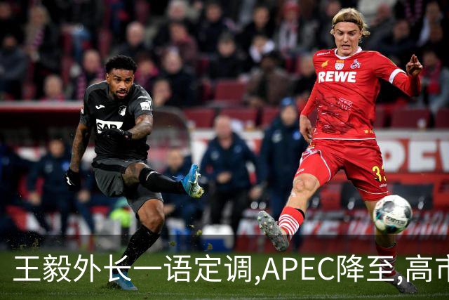 王毅外长一语定调,APEC降至,高市打算破罐子破摔？日国内已经炸锅