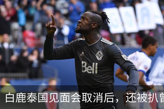 白鹿泰国见面会取消后，还被扒曾为缅北拍宣传片，知情人爆料更多