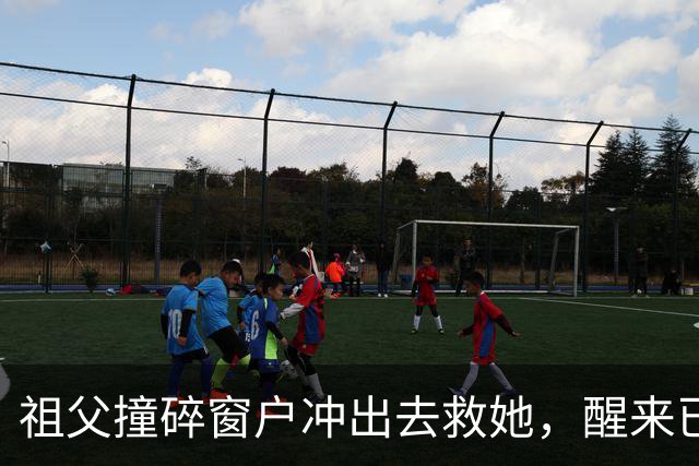 祖父撞碎窗户冲出去救她，醒来已是两年后
