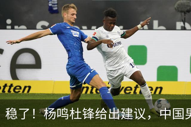 稳了！杨鸣杜锋给出建议，中国男篮做好两点，能赢日本队20分