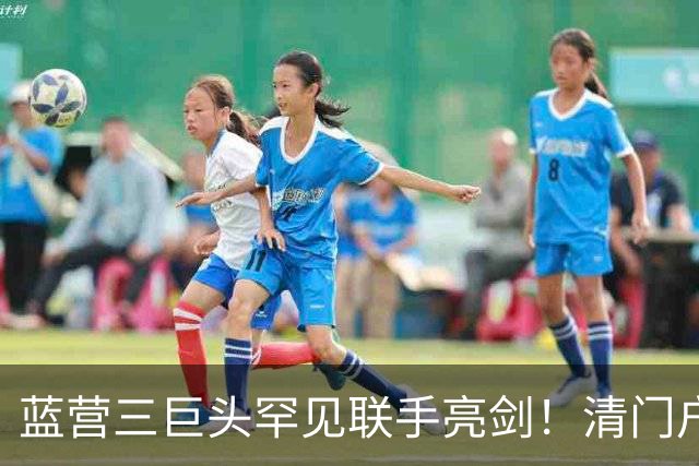 蓝营三巨头罕见联手亮剑！清门户除内奸，彻底斩断台独勾结黑手