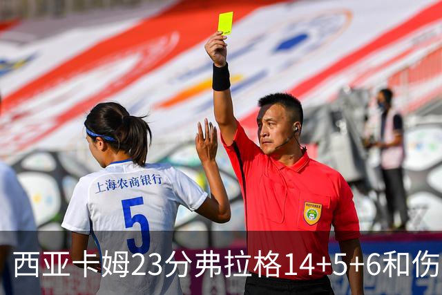 西亚卡姆23分弗拉格14+5+6&伤退 独行侠轻取步行者