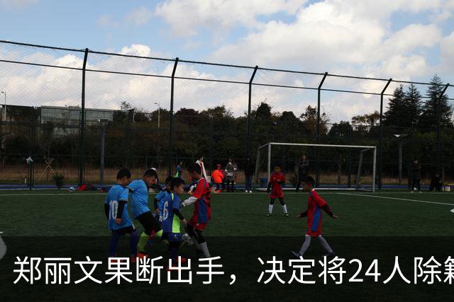 郑丽文果断出手，决定将24人除籍，朱立伦恐怕要看傻眼了