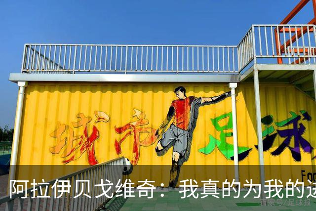 阿拉伊贝戈维奇：我真的为我的进球感到无比自豪和骄傲
