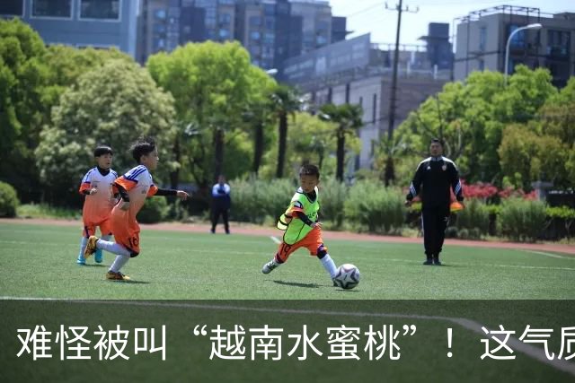 难怪被叫“越南水蜜桃”！这气质和身材，谁看了不迷糊？
