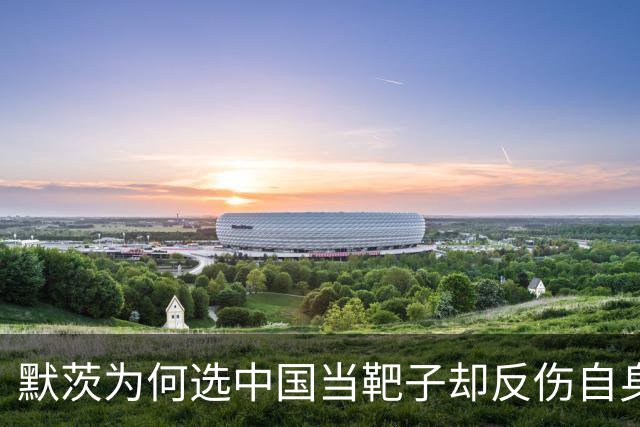 默茨为何选中国当靶子却反伤自身政治根基