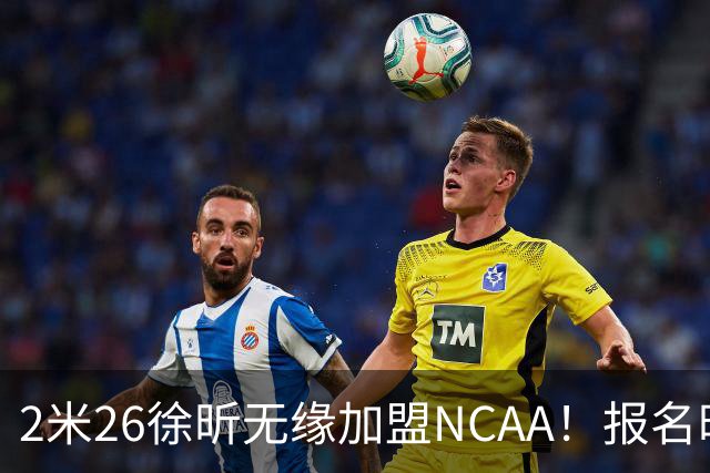 2米26徐昕无缘加盟NCAA！报名时间晚签证没搞好，选择回归广州