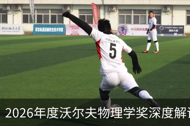 2026年度沃尔夫物理学奖深度解读：在绝对零度之上，搭建量子世界的巅峰协作