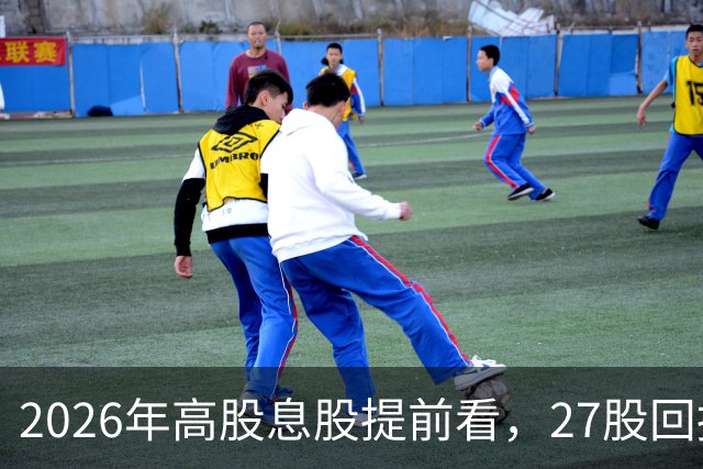 2026年高股息股提前看，27股回报超4%，社保险资同时重仓4股（附名单）